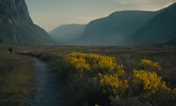 there is a man that is walking down the road