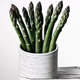 green plants in a white pot sit in front of the wall
