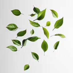 green leaves are flying in the air