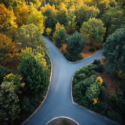 the curved road in the forest is shown from above