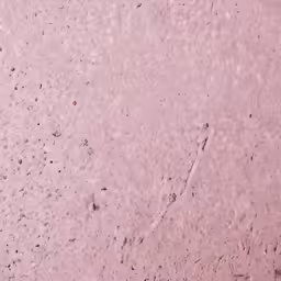 a dog paw imprint on the pink stucco surface