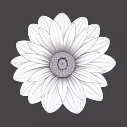 the center section of a flower with its petals drawn,a white flower that is drawing on a black and white background