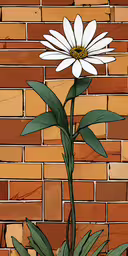 a white flower in front of a brick wall,an image of a flower in front of a brick wall
