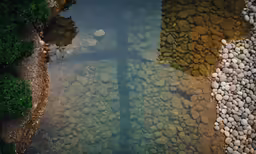 a view of rocks and pebbles in water near the beach