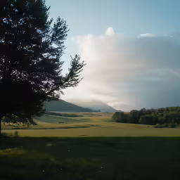an open field with trees on the sides and grass in the foreground