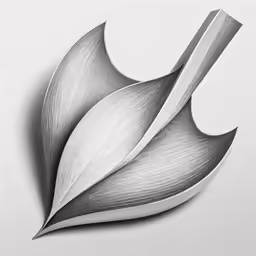 a close up of a flower on a white background
