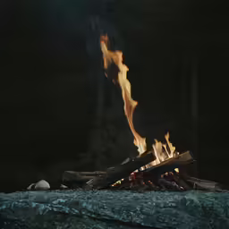 a fire pit is shown with lots of wood