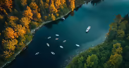 several boats sitting out on the river in a forest