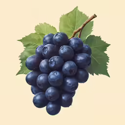 a painting of blue grapes with leaves