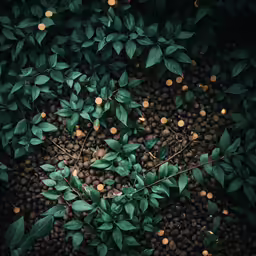 a green plant surrounded by a group of black and white balls