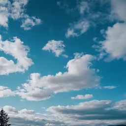 there are clouds that have become sown in the sky
