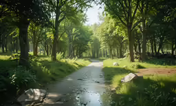 the road is covered in a lot of trees