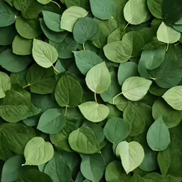 green leaves and other plants grow together
