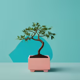a small tree sits in a pink container