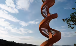 a spiral of wood on the side of a hill
