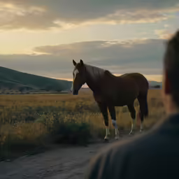 a man standing on the side of a road next to a horse