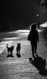 black and white photograph of person walking with cat in street