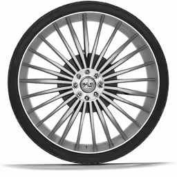 the spoke wheel is shown with black and white rim