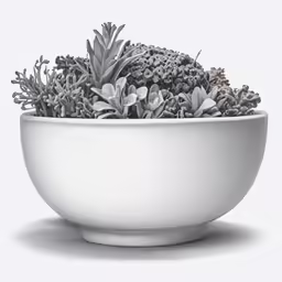 a bowl filled with succulents and flowers