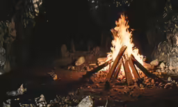 a campfire in the woods lit by bright sunlight
