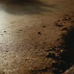 a small brown bird with its foot on a dirt surface