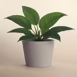 a potted plant sits on the floor