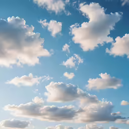 a white fluffy cloud that is above some grass