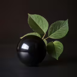 a black apple with leaves laying on it