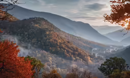 trees and the mountains in autumn with bright colors