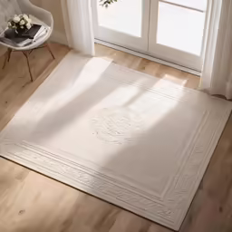 an image of a rug in the living room