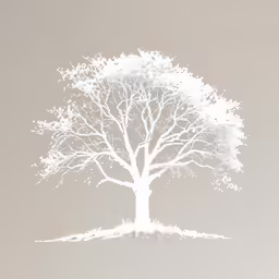 a tree with white leaves is silhouetted against the sky