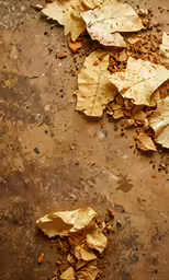 several leaves that are on the ground next to some water