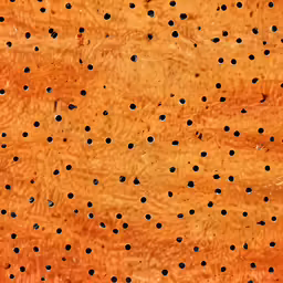 a brown surface with lots of holes on it