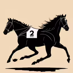 the black horse is running with number two
