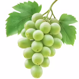 grapes with leaves on the stem on a white background