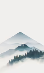 the top of a mountain in the fog