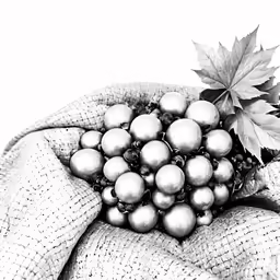 a photo of grapes and leaves on a napkin