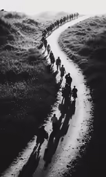 a long line of horses in black and white