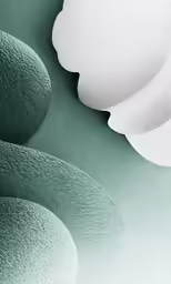 a green and white background with large circles