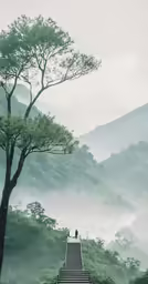 a man walking up some stairs to a tree on a hill