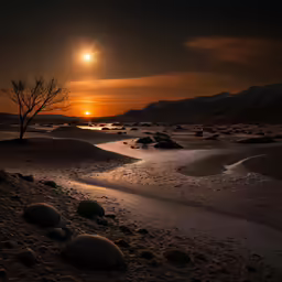 a tree in the distance with a setting sun in the background