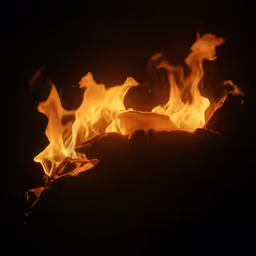 a close up of fire blazing in the dark