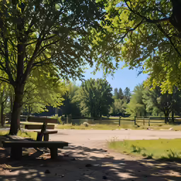 a bench under some trees in a park