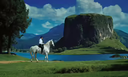 a man on horseback walking on a grassy hill next to the ocean