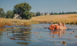 two people in the water with one falling off his head