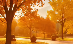 a view of a scenic fall scene with some trees