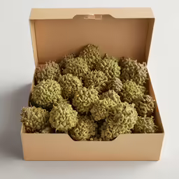box filled with moss covered balls and sitting on a counter
