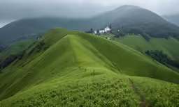 a green hillside that has some grass on top of it