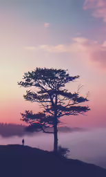 two people standing at the top of a hill overlooking trees