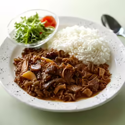 a white plate with rice and beef on it